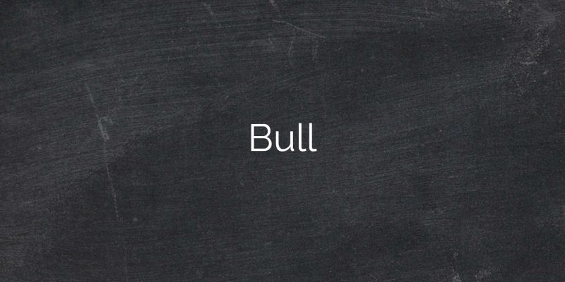 Bull1
