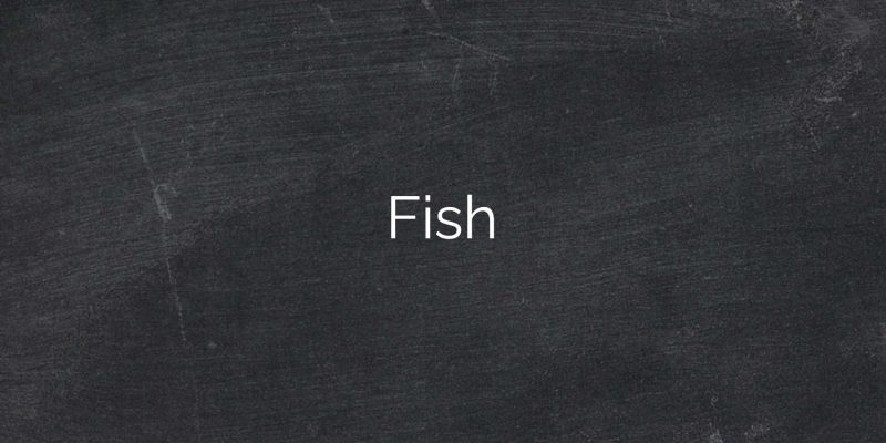 Fish1